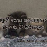 Если Знаешь Этот 2024 Года