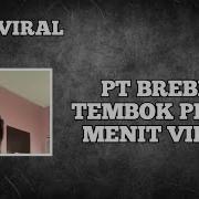 Download Video Tembok Pink 6 Menit