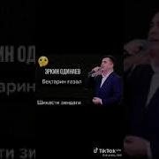 Шикасти Зиндаги Колаб Надорад