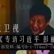 江泽民彭丽媛生子