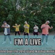 I M Alive Zumba Remix