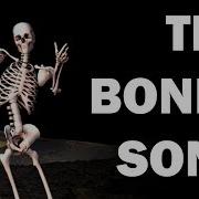 Bone Song Show Me Your Tibia