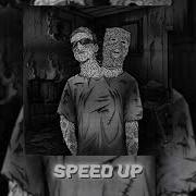 Бейслайн Бизнес Speed Up