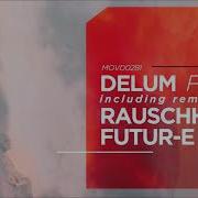 Delum Furia Rauschhaus Remix Movement