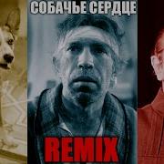 Собачье Сердце Remix