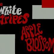 Apple Blossom The White Stripes