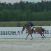 Чемпионат России По Конкуру Маршрут 14 130 Перепрыжка Сафронов Михаил И Ланд Принц Юниор