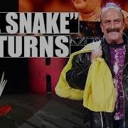 Jake Roberts