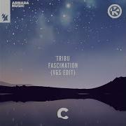 Tribu Fascination V S Edit