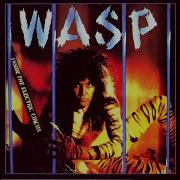 Wasp Easy Living