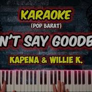 Dont Say Goodbye Karaoke