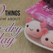 10 Things You Must Know About Air Dry Clay