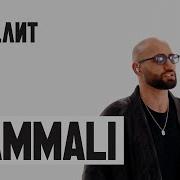 Муз Лит Hammali