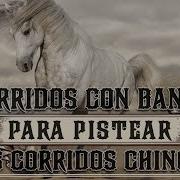 Puros Corridos Chingones Con Banda Para Pistiar 2021 Mix