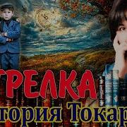 Виктория Токарева Рассказы