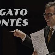 El Gato Montes