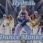 Пудель Dance Monkey