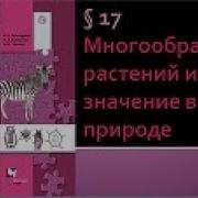 Многообразие Растений И Их Значение В Природе