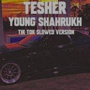 Tesher Young Shahrukh Tik Tok Slowed Version I Got 500 Dollars In Cash Bass Boostes