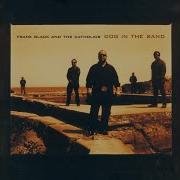 Dog In The Sand Black Francis Topic