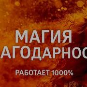 Балацкая Благодарность