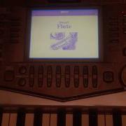 Yamaha Psr 2100 Factory Demo