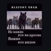 Блатной Удар Друзья