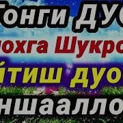 Шукрона Сураси