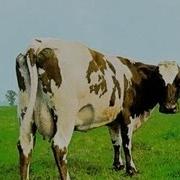 Pink Floyd Atom Heart Morher Full Album