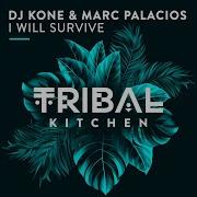 Dj Kone Marc Palacios I Will Survive Stev Dive Remix