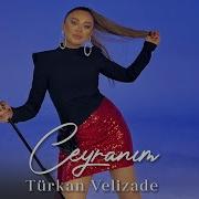 Türkan Velizade Ceyranım