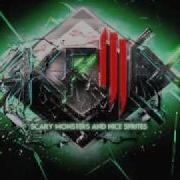 Skrillex Kill Everybody Bare Noize Remix