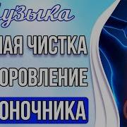 Мощная Чистка И Оздоровление Позвоночника