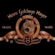 Лев Из Заставки Metro Goldwyn Mayer