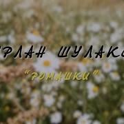 Нурлан Шулаков Ромашки