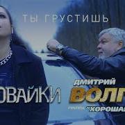 Воровайки Дмитрий Волгин Ты Грустишь