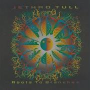 Roots To Branches Jethro Tull