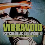 Vibravoid Vibra Void