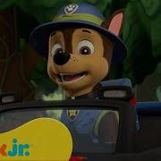 Щенячий Патруль Из Серии Джунгли Новые Серии Paw Patrol