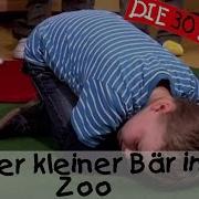 Der Kleine Bär