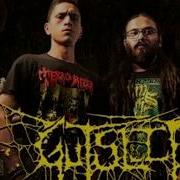 Top 10 Indian Death Metal Bands