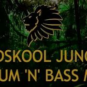 Valley Of The Junglist Original Mix Zero Dark