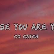 Cc Catch Cause You Are Young Lyrics Would