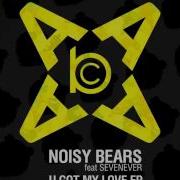 Noisy Bears Hold You