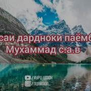 Қисаи Паёмбарон