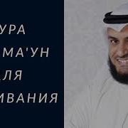 Сура Ман Мишари Рашид