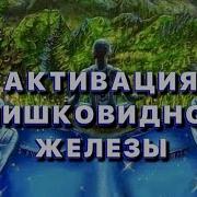 Исцели Свой Мозг