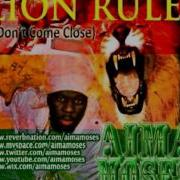 Lion Rule Dont Come Close Aima Moses