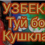 Терма Шух Кушиклар