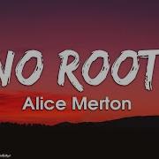 Alice Merton No Roots Lyrics